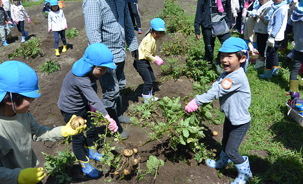 5月行事