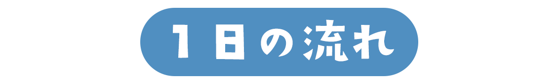 １日の流れ