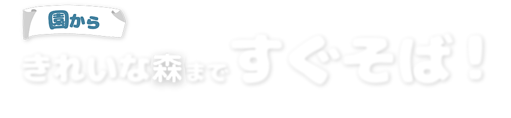 きれいな海まですぐそば！